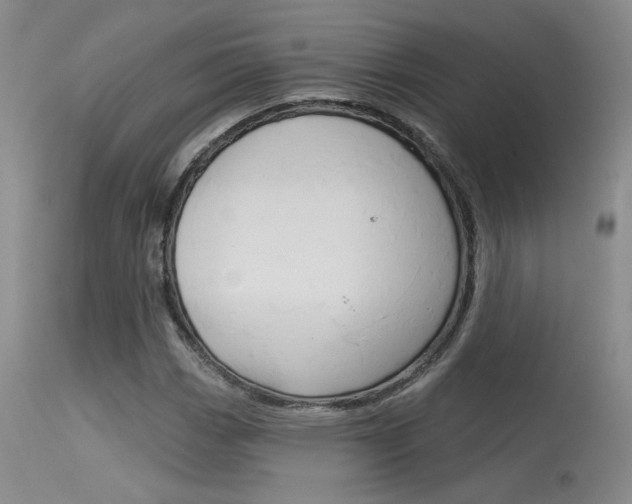X0000115731113200911121119