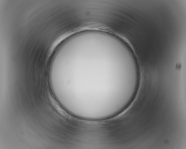 X0000115731114200911121119
