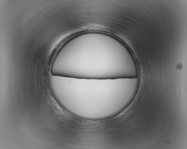 X0000115731115200911121119