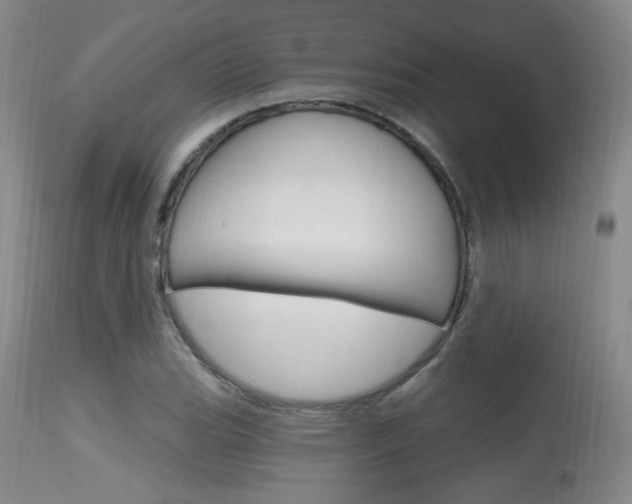 X0000115731119200911121119