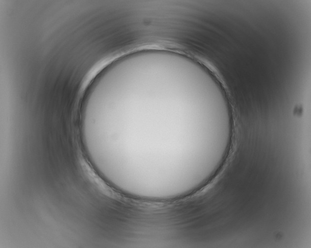 X0000115731122200911121120
