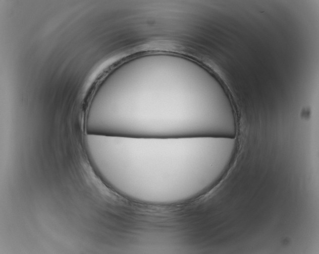 X0000115731123200911121120