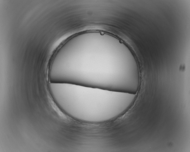 X0000115731127200911121120
