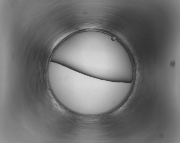 X0000115731129200911121120