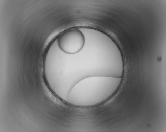 X0000115731130200911121120
