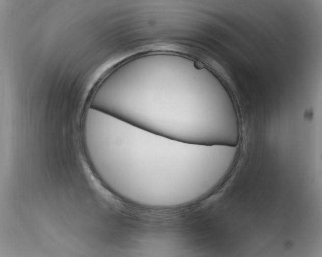 X0000115731133200911121120