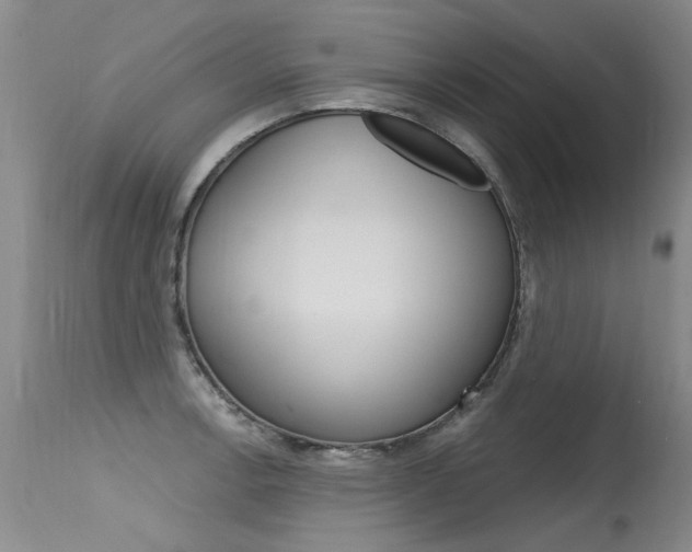 X0000115731138200911121120