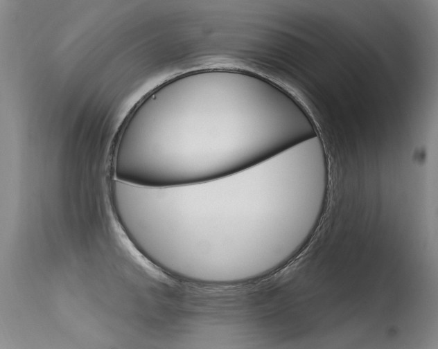 X0000115731142200911121120