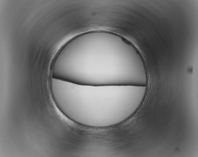 X0000115731143200911121120