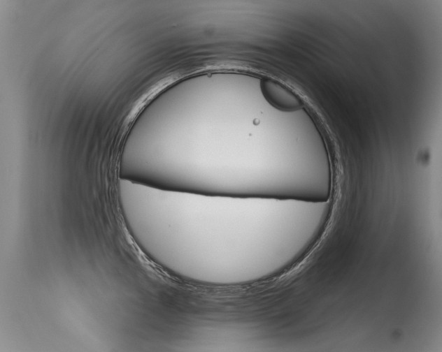 X0000115731145200911121120