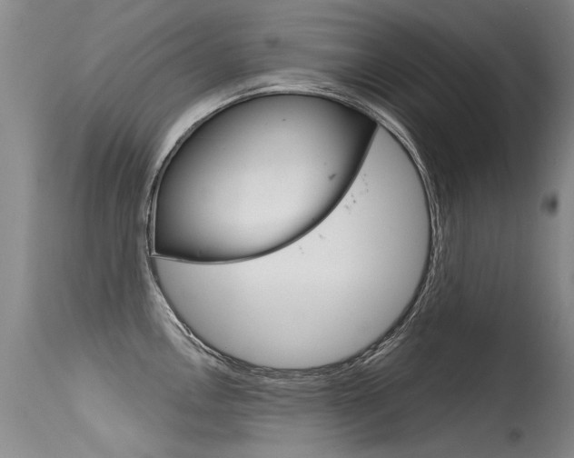 X0000115731146200911121120
