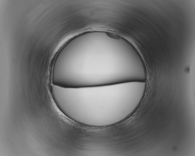 X0000115731147200911121120
