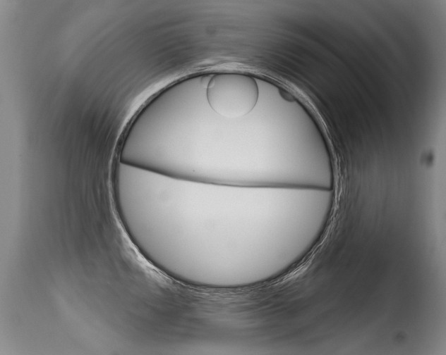 X0000115731149200911121120