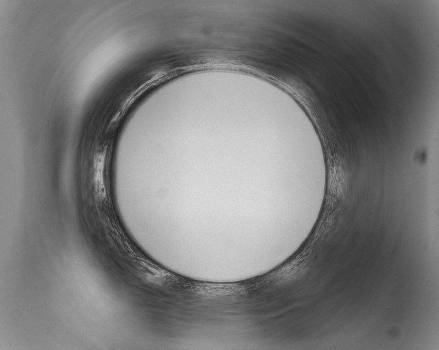 X0000115731150200911121120