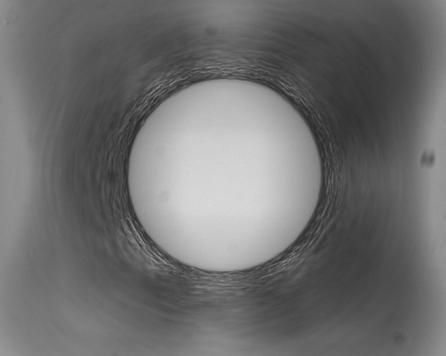 X0000115731153200911121119