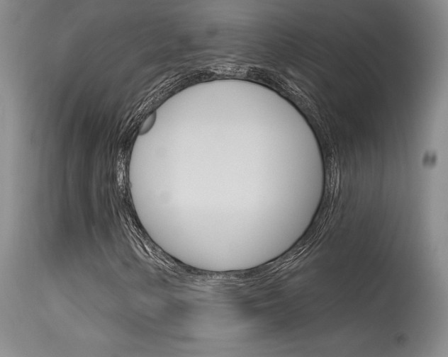 X0000115731154200911121119
