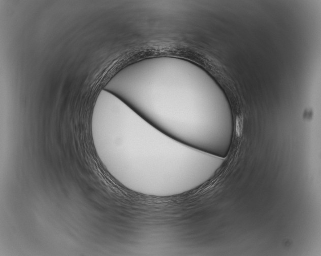 X0000115731155200911121119
