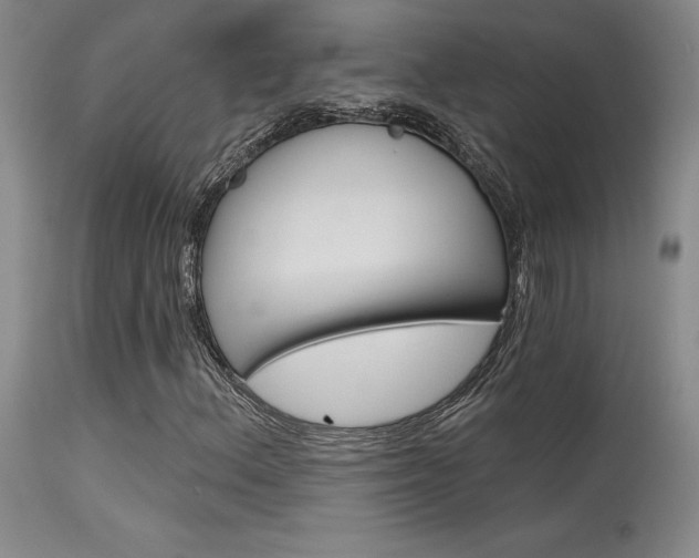 X0000115731156200911121119