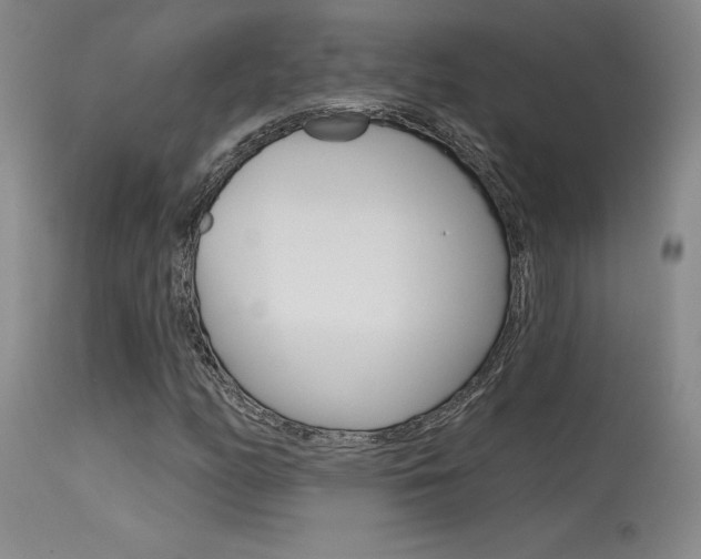 X0000115731158200911121119