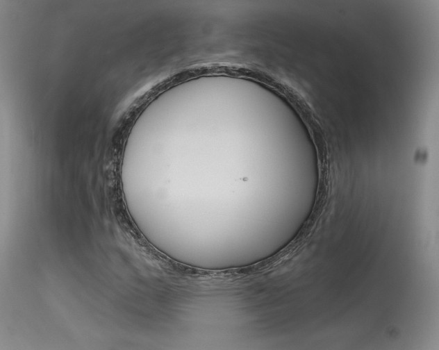 X0000115731159200911121119