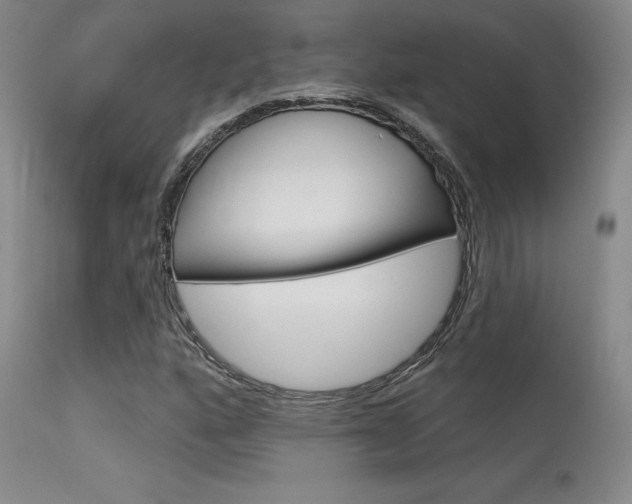 X0000115731160200911121119