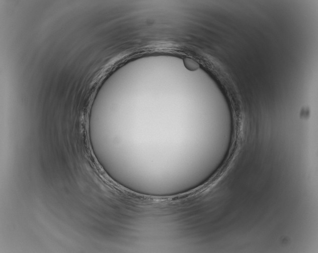 X0000115731161200911121119