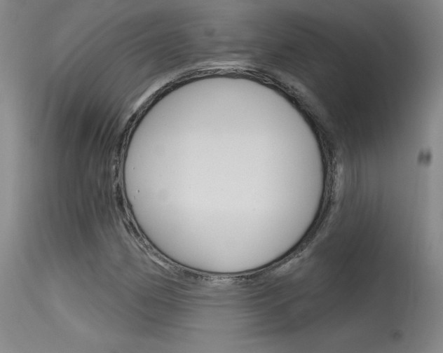 X0000115731162200911121119