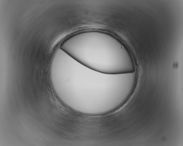 X0000115731163200911121119