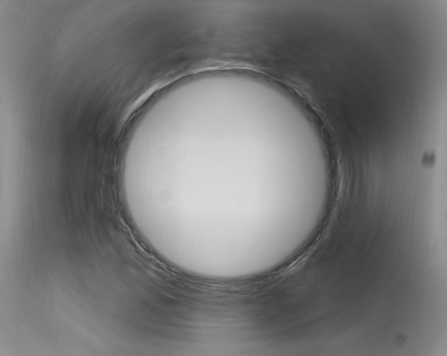 X0000115731165200911121119