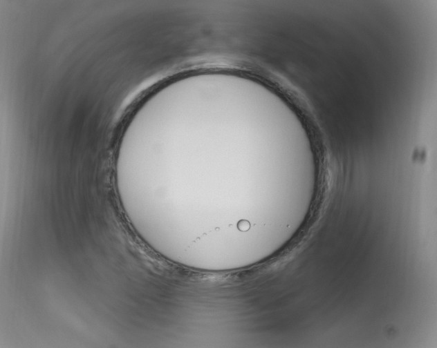 X0000115731166200911121119