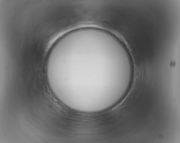 X0000115731167200911121119