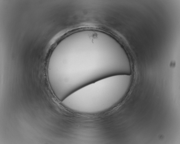 X0000115731168200911121119
