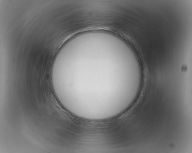 X0000115731169200911121119