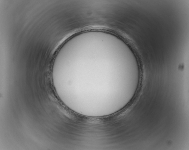 X0000115731170200911121119