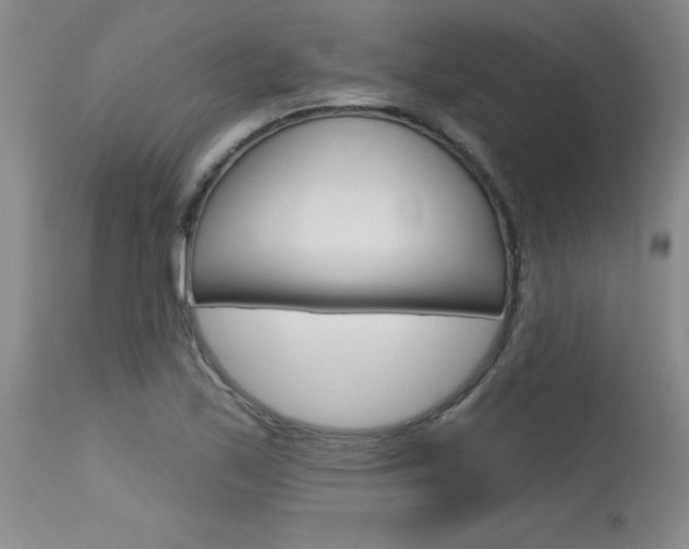X0000115731171200911121119