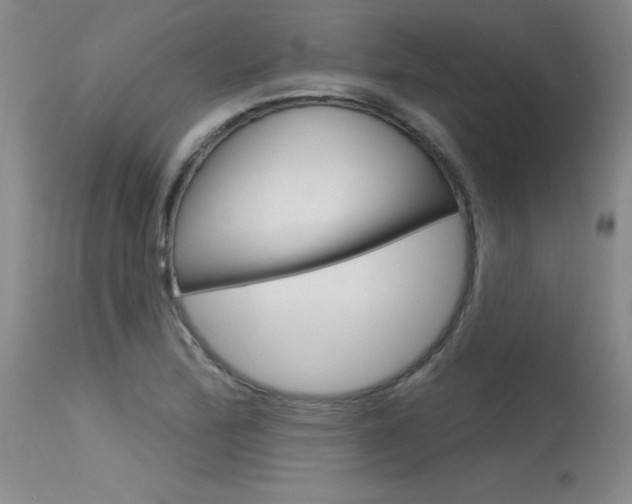 X0000115731172200911121119