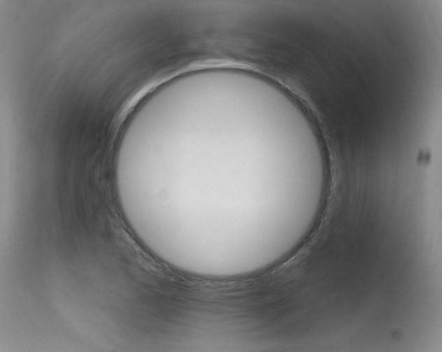 X0000115731173200911121119