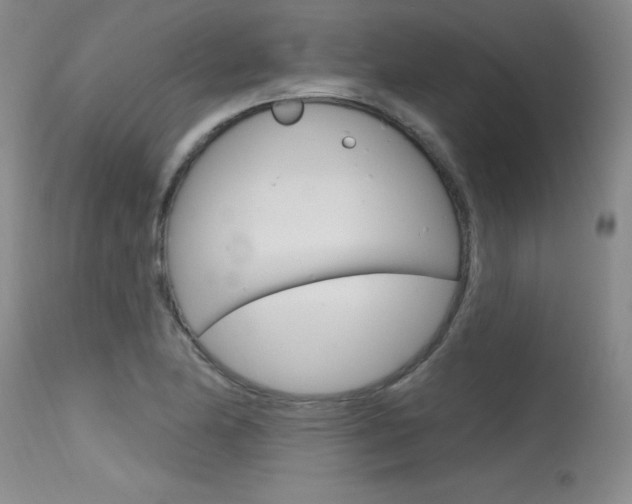 X0000115731174200911121119