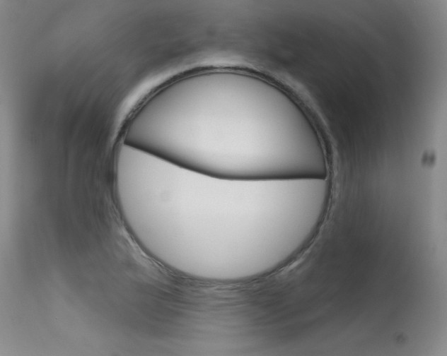 X0000115731175200911121119