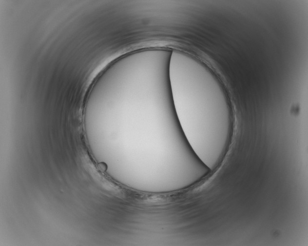 X0000115731178200911121119
