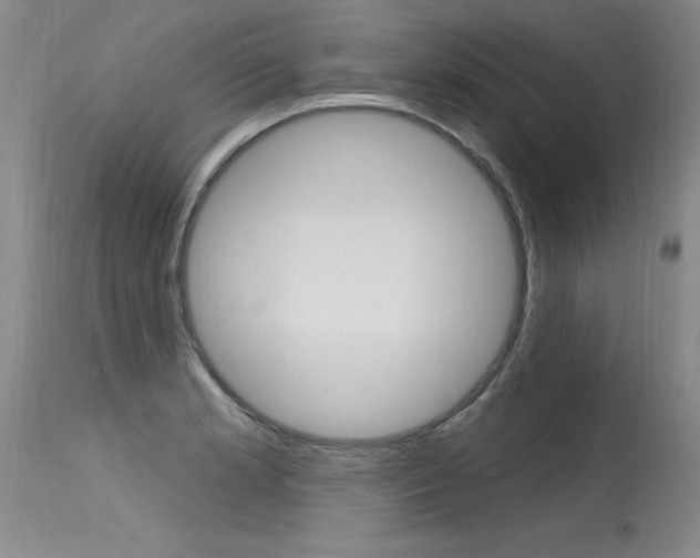 X0000115731181200911121119