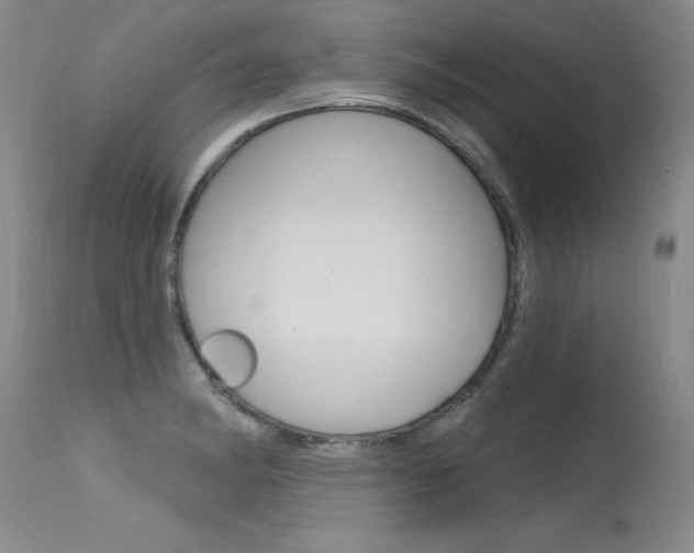 X0000115731182200911121119