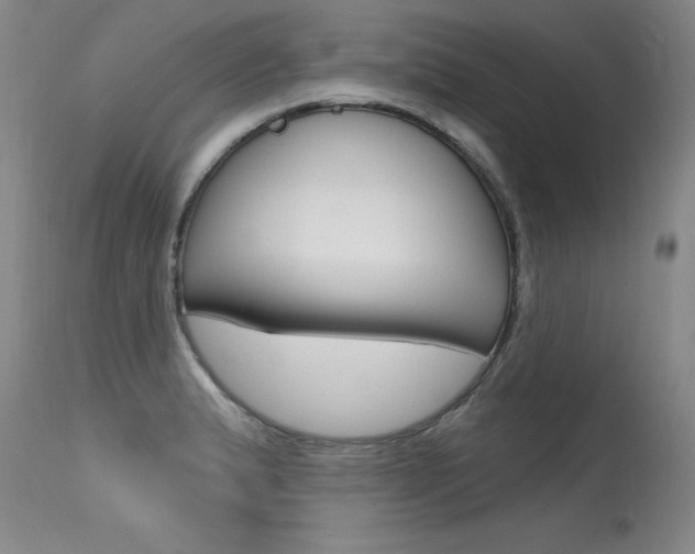 X0000115731183200911121119