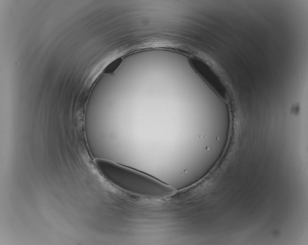 X0000115731185200911121119