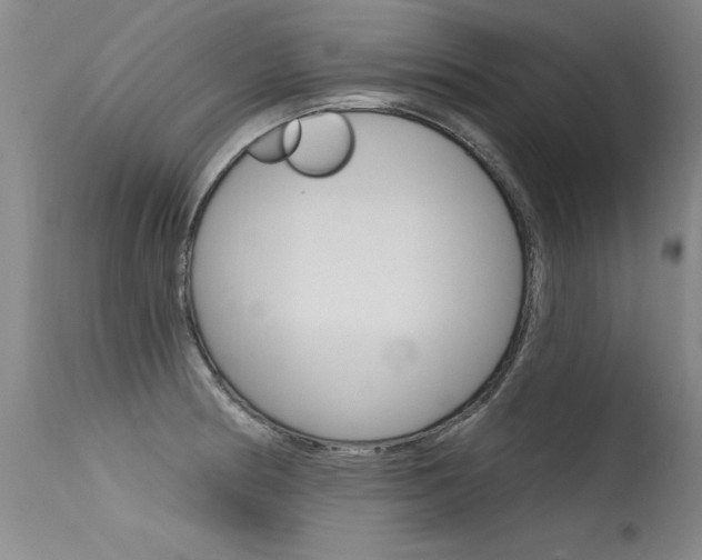 X0000115731186200911121119