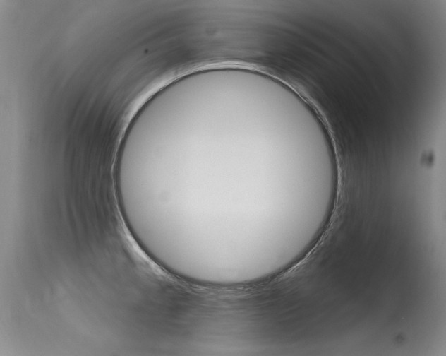 X0000115731189200911121119