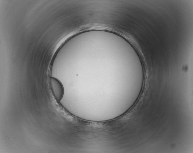 X0000115731190200911121119