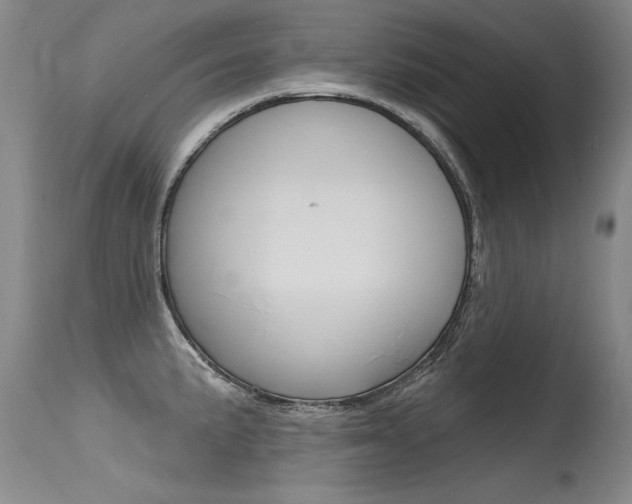 X0000115731191200911121119