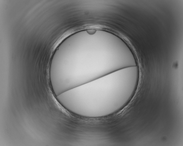 X0000115731194200911121119