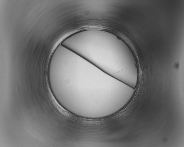 X0000115731195200911121119